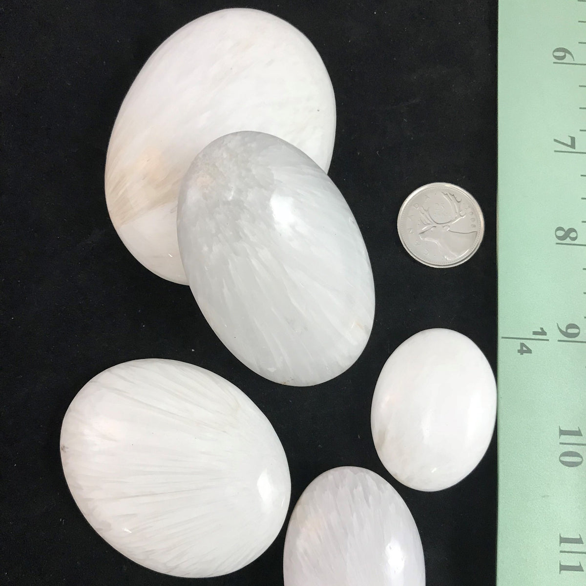 Scolecite Palm Stone, Assorted Shapes, Retail
