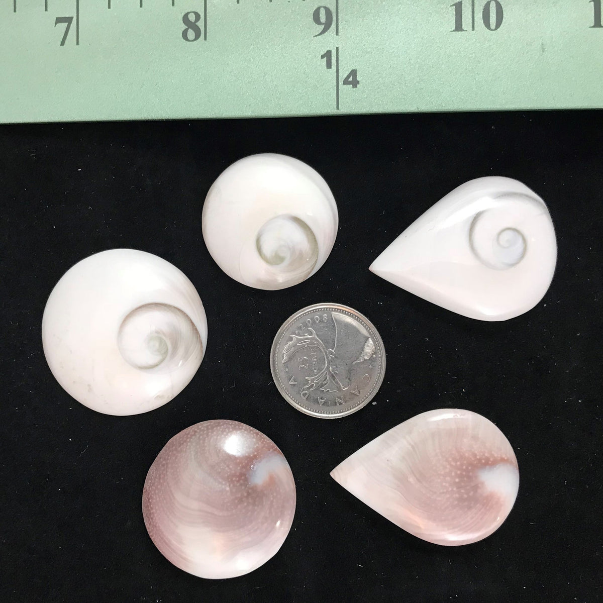 Cabochon / Stone for Wire Wrapping or Setting, Wholesale