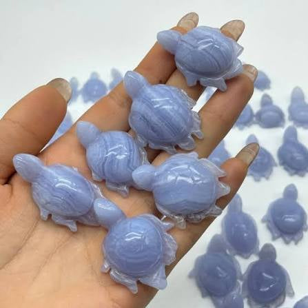 Turtle, Blue Lace Agate, Large, 16 - 20g