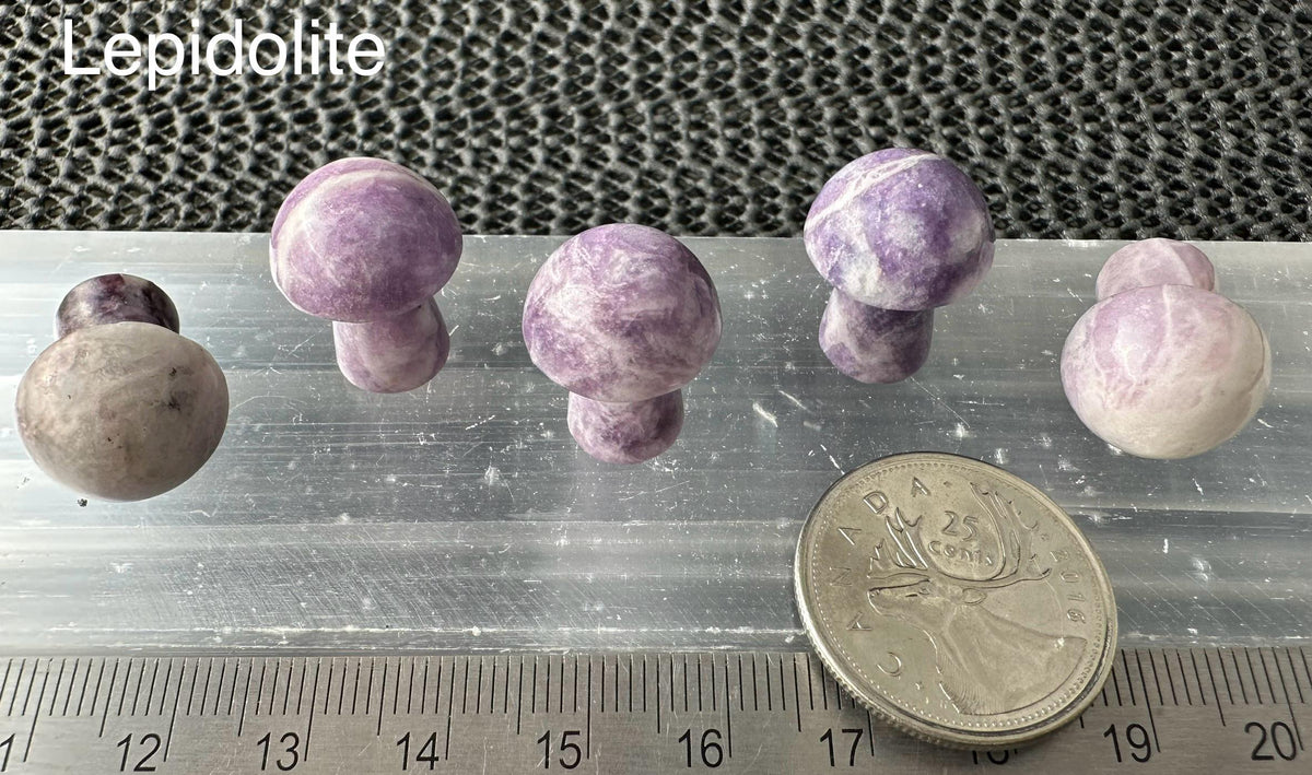 Mini Mushroom, 2cm H x 1.7cm W, 5pack