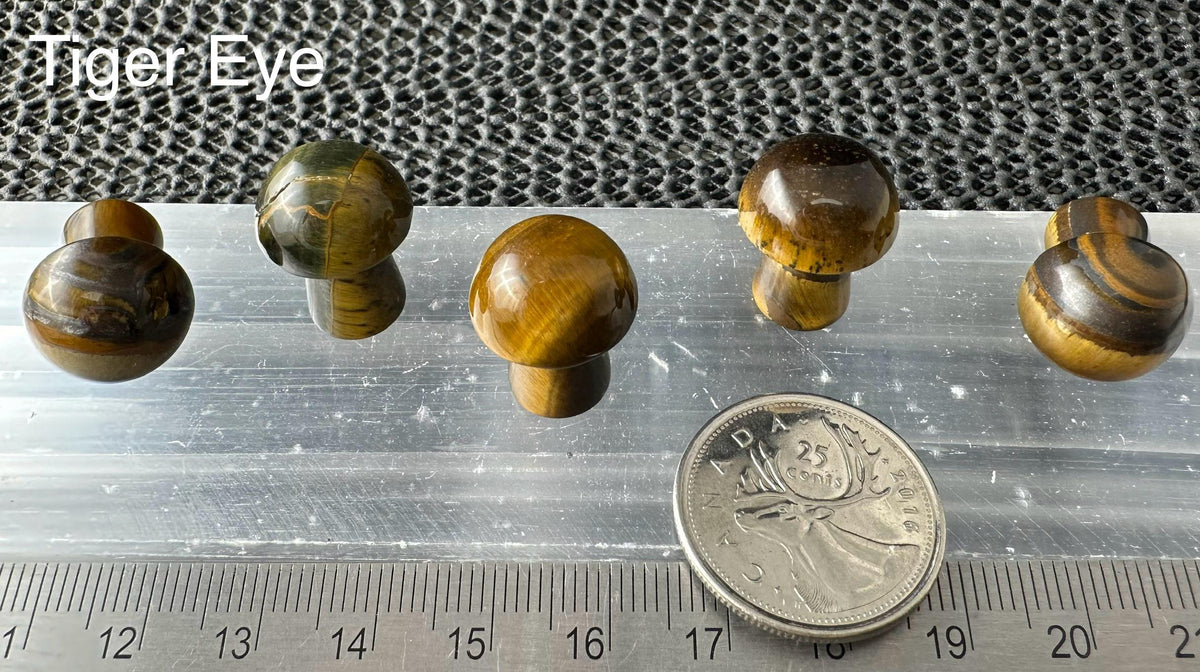 Mini Mushroom, 2cm H x 1.7cm W, 5pack