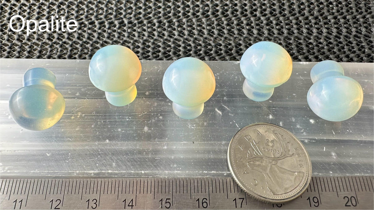 Mini Mushroom, 2cm H x 1.7cm W, 5pack