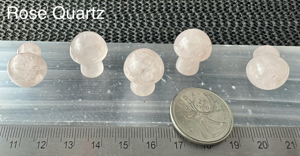 Mini Mushroom, 2cm H x 1.7cm W, 5pack