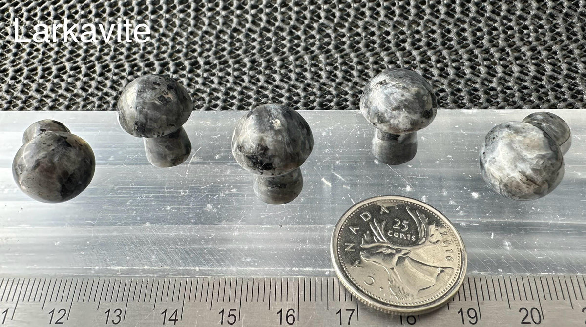 Mini Mushroom, 2cm H x 1.7cm W, 5pack