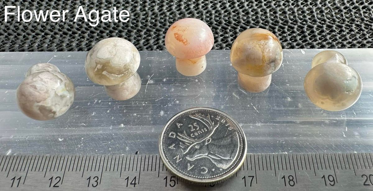 Mini Mushroom, 2cm H x 1.7cm W, 5pack