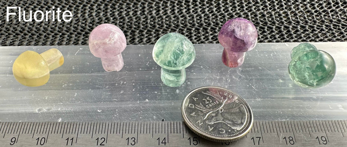 Mini Mushroom, 2cm H x 1.7cm W, 5pack