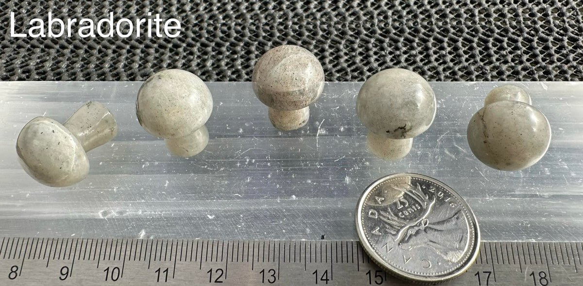 Mini Mushroom, 2cm H x 1.7cm W, 5pack