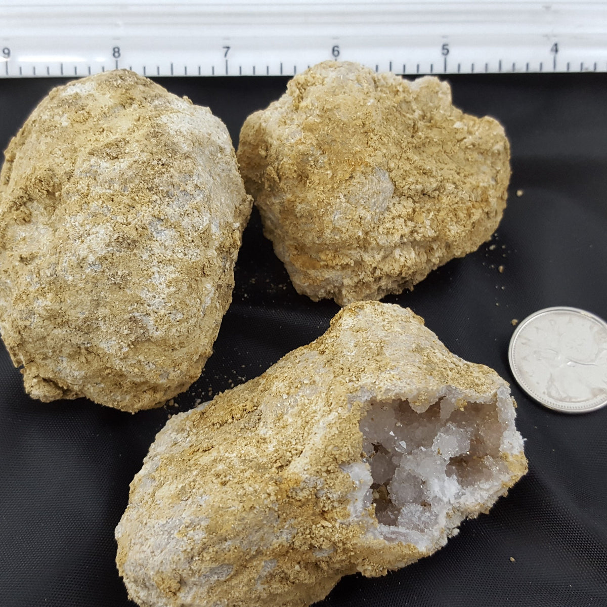 Break Your Own Geode Small/Medium - RETAIL