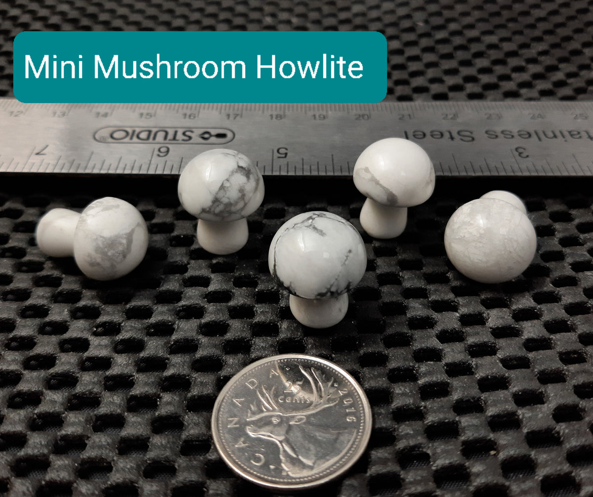 Mini Mushroom, 2cm H x 1.7cm W, 5pack