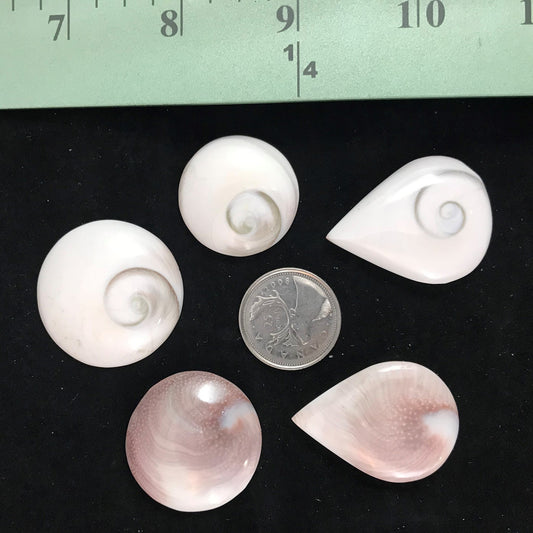 Cabochon / Stone for Wire Wrapping or Setting, Wholesale