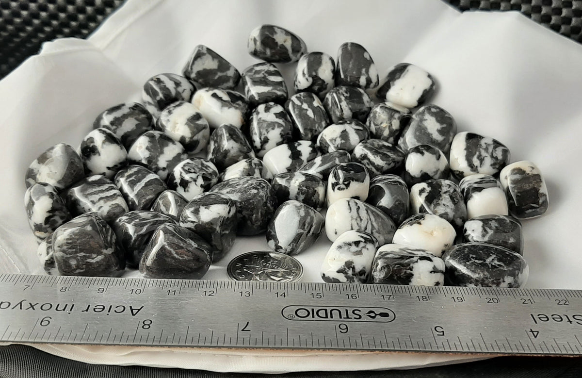 Zebra Jasper Tumble by 500g, Small 20mm - 25mm