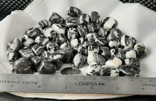 Zebra Jasper Tumble by 500g, Small 20mm - 25mm