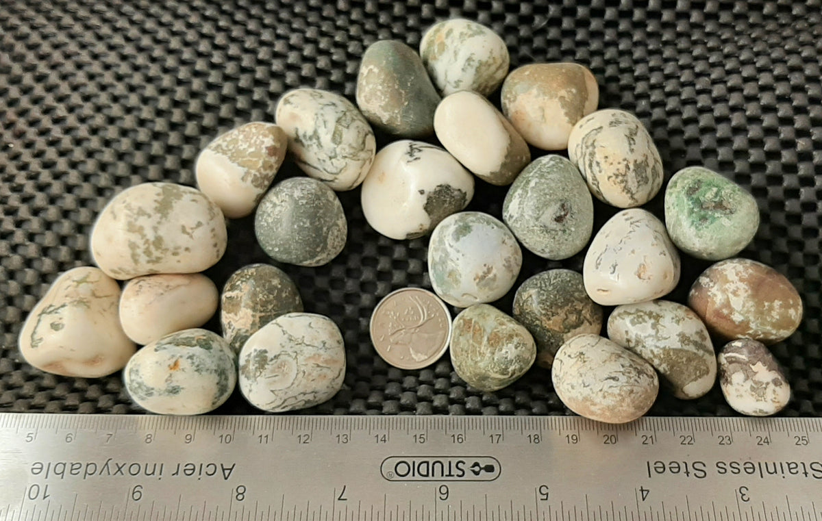 Tree Agate Tumble by 500g