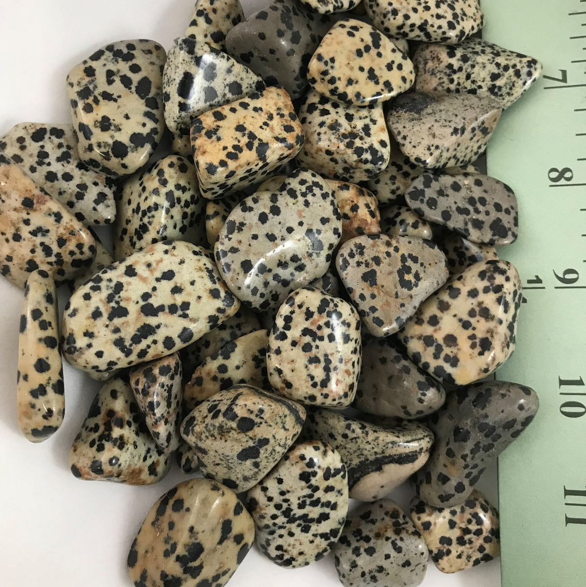 Dalmatian Jasper Tumble by 500g, Small 20mm - 25mm